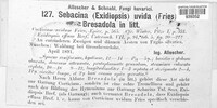 Mycoacia livida image